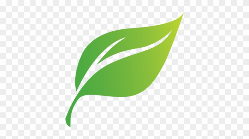 Leader Cartoon - Green Leaf Cartoon Png #253239