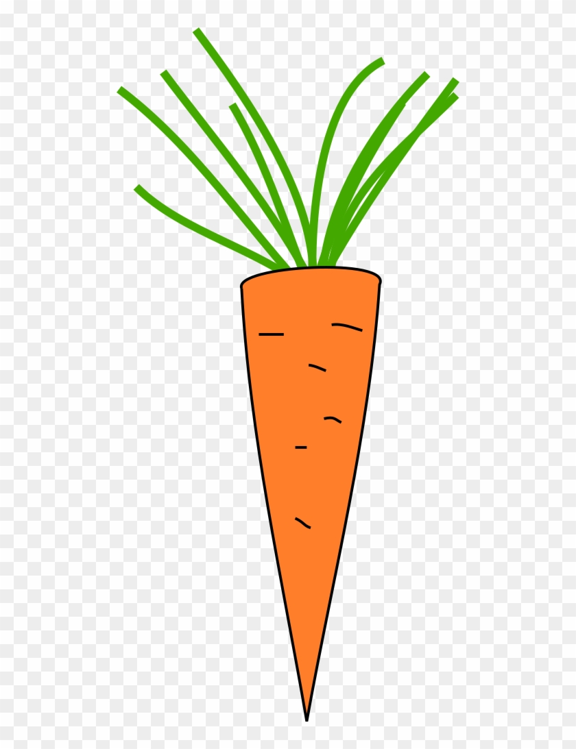 Carrot - Copyright Free Clipart Carrot #253303