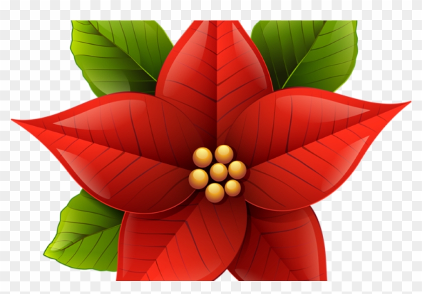Poinsettia Christmas Clip Art Christmas Flowers 600*533 - Poinsettia Clipart #253350