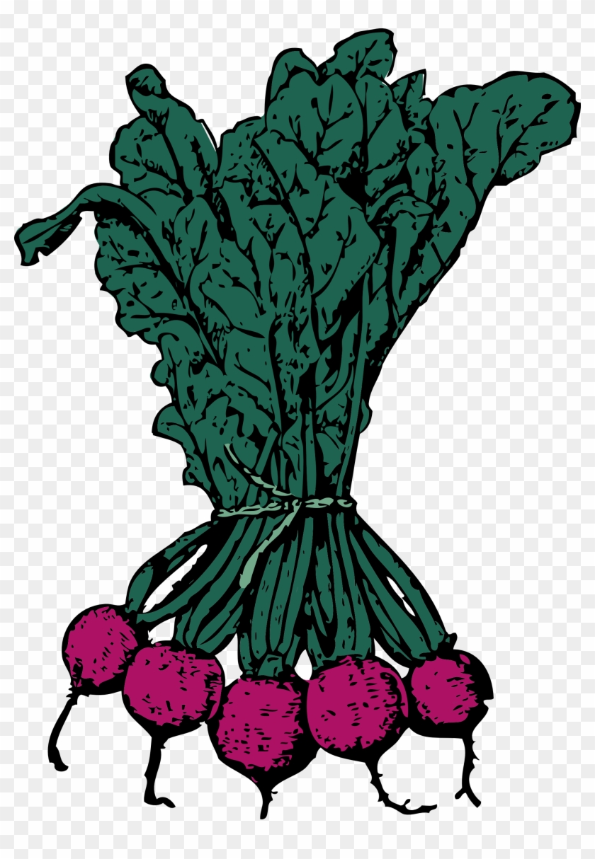 Beet - Clipart - Beets Clip Art #253318