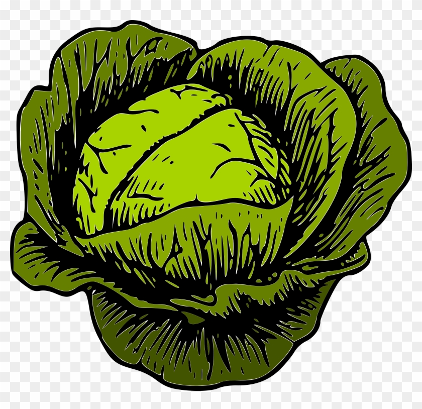 Clipart - Clipart Cabbage #253380