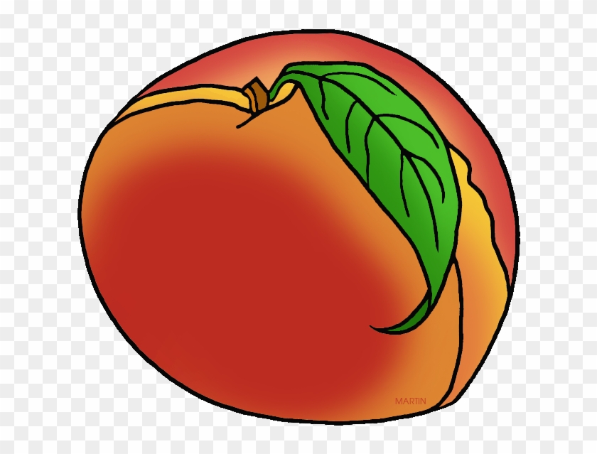 Georgia State Fruit - Clip Art #253407