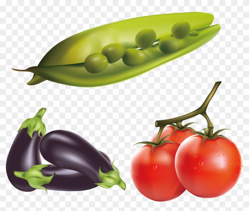 Eggplant Tomato Clip Art - Eggplant Tomato Clip Art #253507