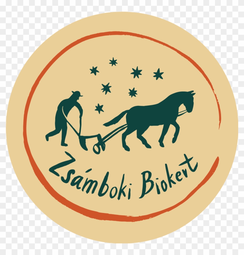 Vegetable Box - Zsámbok #253452