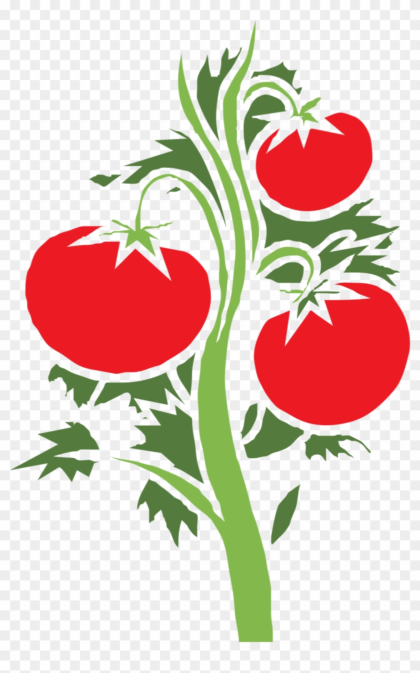 Cây Cà Chua Vector #253467