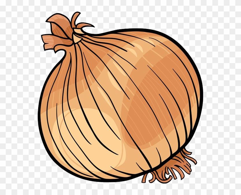 Onion Vegetable Black And White Clip Art - Onion Cartoon Transparent #253490