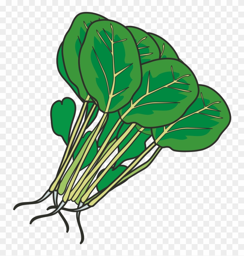 Hot Pot Leaf Vegetable Spinach Clip Art - Hot Pot Leaf Vegetable Spinach Clip Art #253509