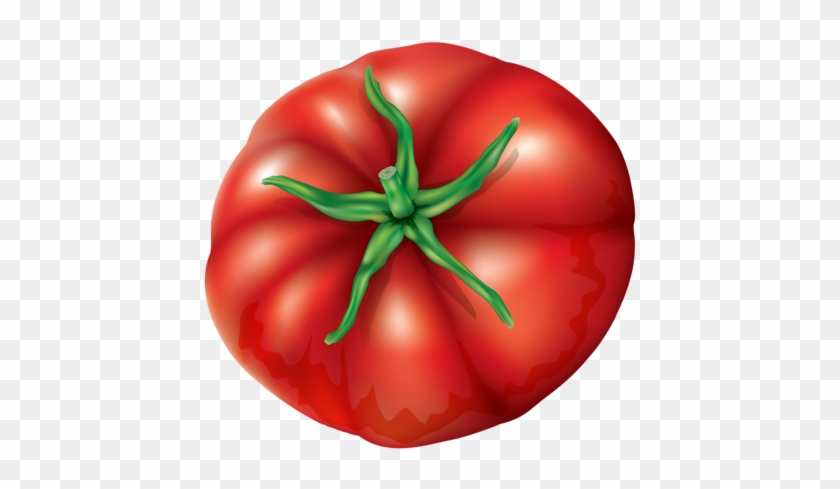 Vegetables Collection3 - Tomato #253527