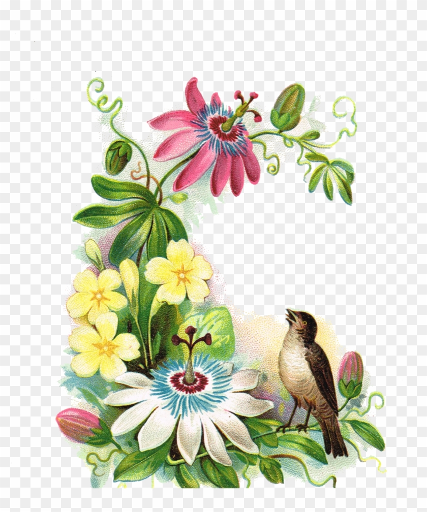 Printable Greeting Tags With Antique Floral Images - Bird Flowers Clipart Transparent #253533