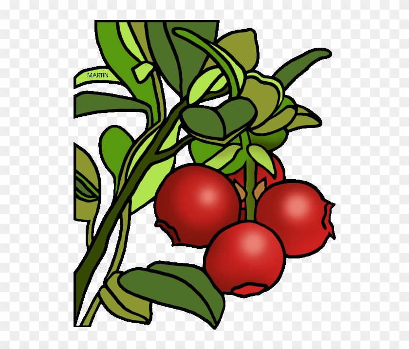 Cranberry Clipart 1 - Cranberry Clipart 1 #253539