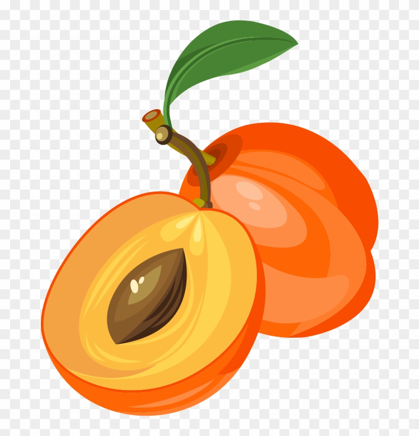 Euclidean Vector Fruit Clip Art - Fruit Png Clipart #253596