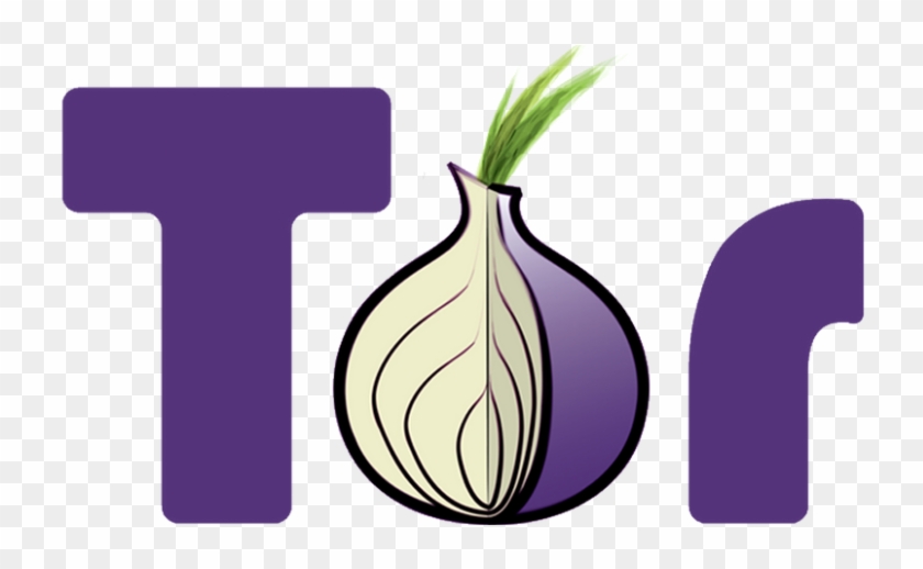 Onion Router - Full Size PNG Clipart Images Download