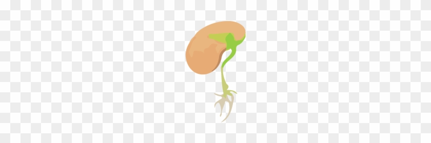 Tomato Other Vegetables (13%) Bean, Pea (12%) Lettuce, - Illustration #253639