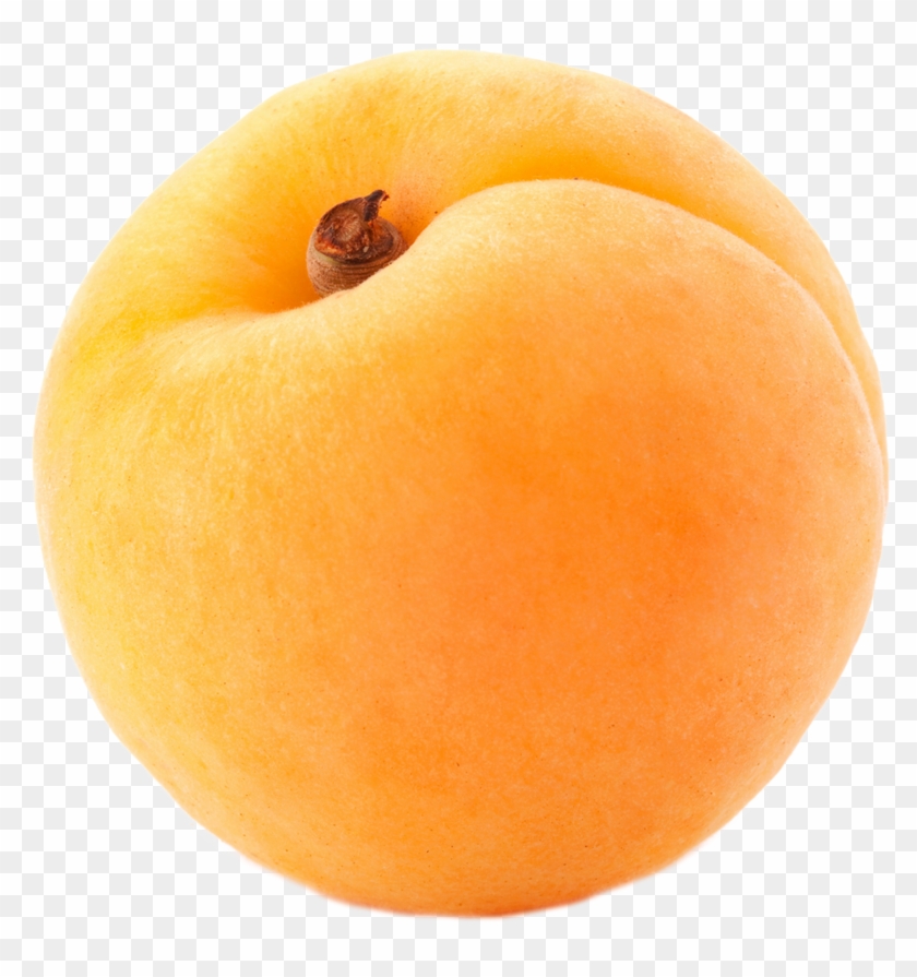 Large Apricot Png Clipart - Kayısı Png #253667