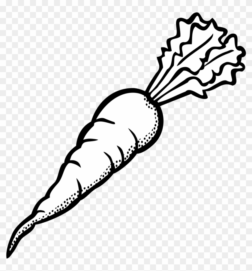 Carrot - Lineart - Carrot Black And White #253682