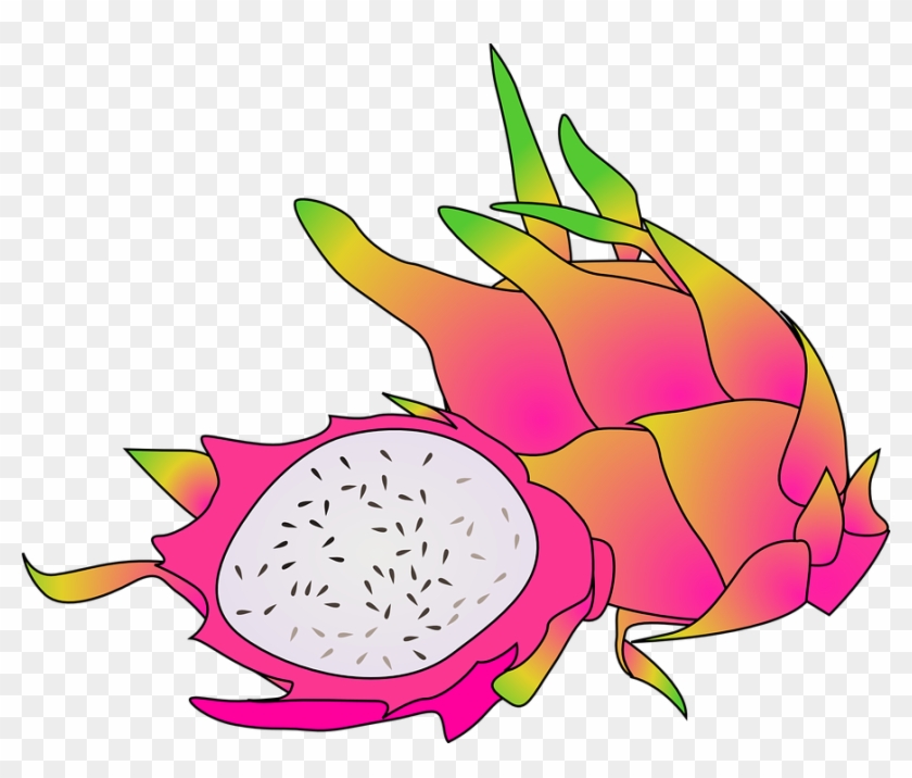 Dragon Fruit Cartoon Png #253728