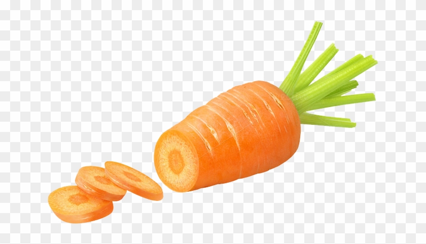 Carrot - Carrot Png #253757