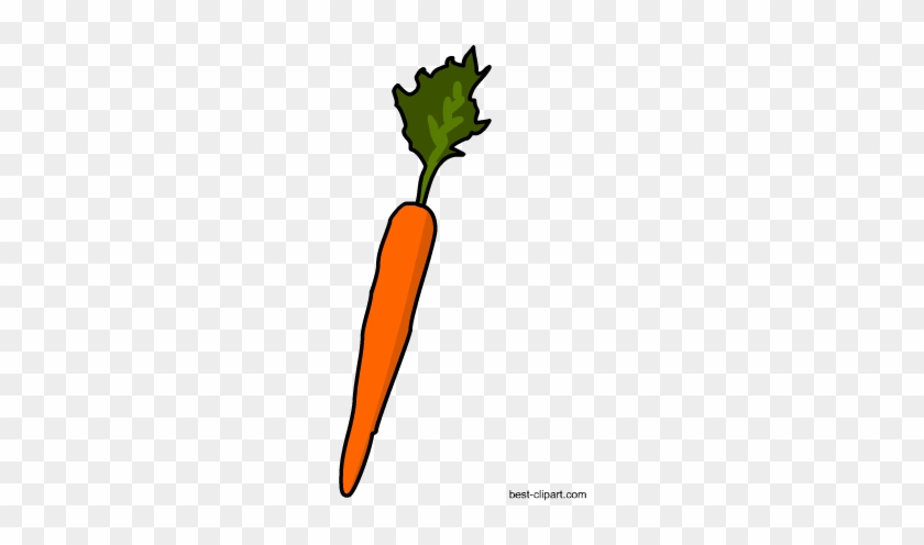 Free Carrot Clip Art - Clip Art #253764