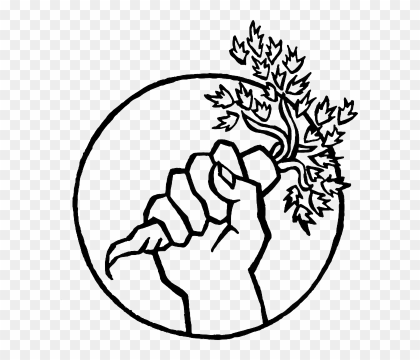 Carrot, Fist, Garden - Food Not Bombs Logo #253767