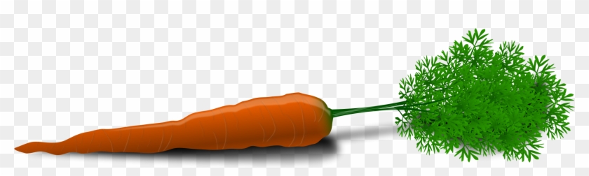 Free Carrot - Carrot Clip Art #253824