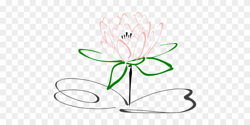 Lotus Flower Blossom Plant Nature Pink Blo - Drawing Black And White Flower Clip Art #254182