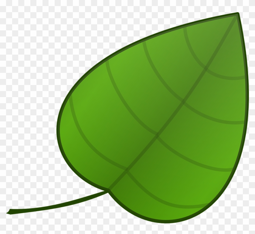 single green leaves clipart