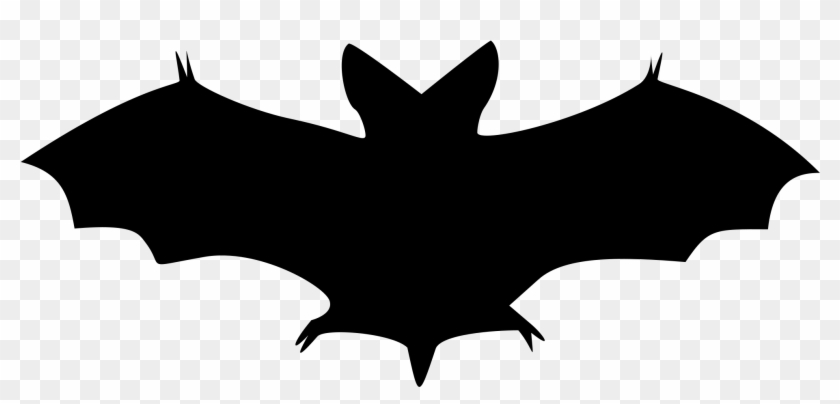 Black And White Bat Clipartist Bat Beta Black White - Bat Shadow #254313