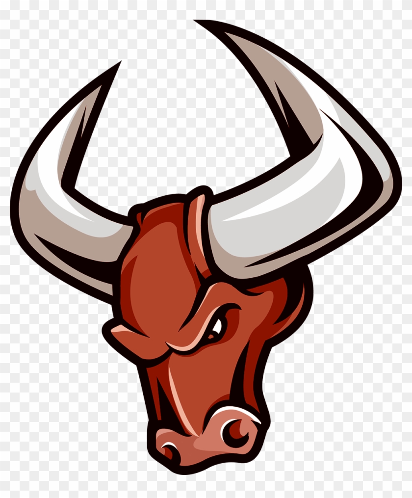 Introducing The Bull Report - Introducing The Bull Report #1629802