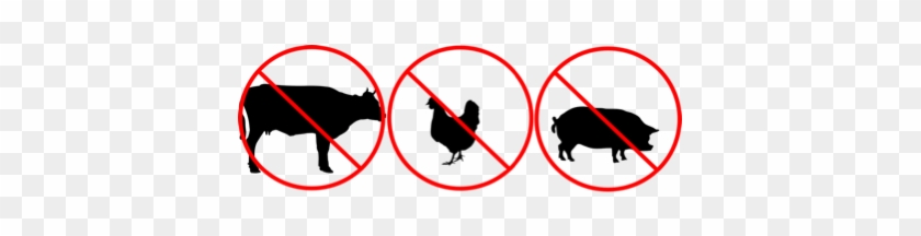 Http - //www - Celestialhealing - Net/websitestuff/no-meat - Red Circle With Line Vector #1629916