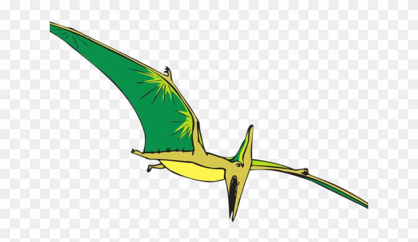 Dinosaurs Clipart Bird - Dinosaur Flying Clipart Png #1629953