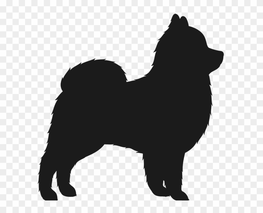 Silhouette Of A Pomeranian #1630092