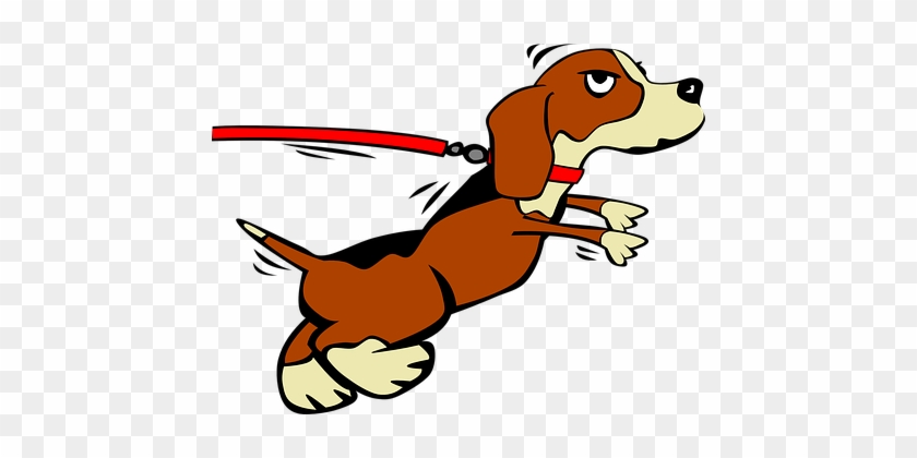 Dog, Puppy, Leashed, Domestic, Doggy - Cartoon Dog On A Lead #1630131