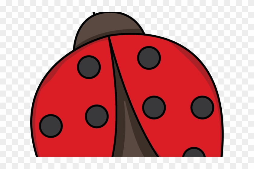 Lady Beetle Clipart Drawing - Lady Beetle Clipart Drawing #1630140