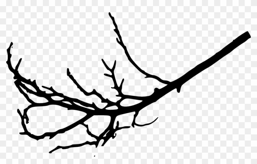10 Tree Branches Silhouette Vol - Tree Branch Transparent Background #1630174
