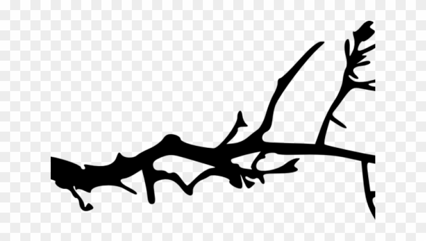 Branch Clipart Sanga - Tree Branch Stencil Simple #1630191