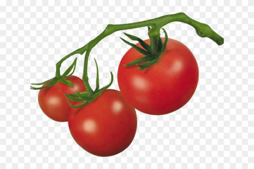 Cherry Tomato Clipart Object - Cherry Tomato Clip Art #1630304
