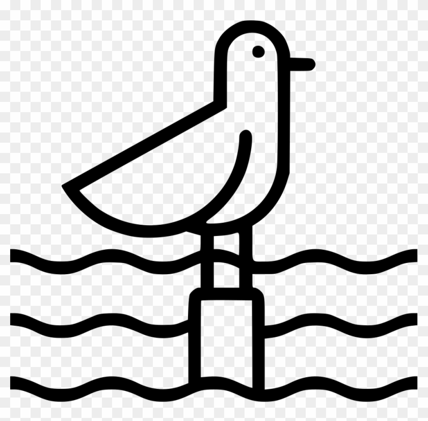 Seagull Comments - Seagull Comments #1630460