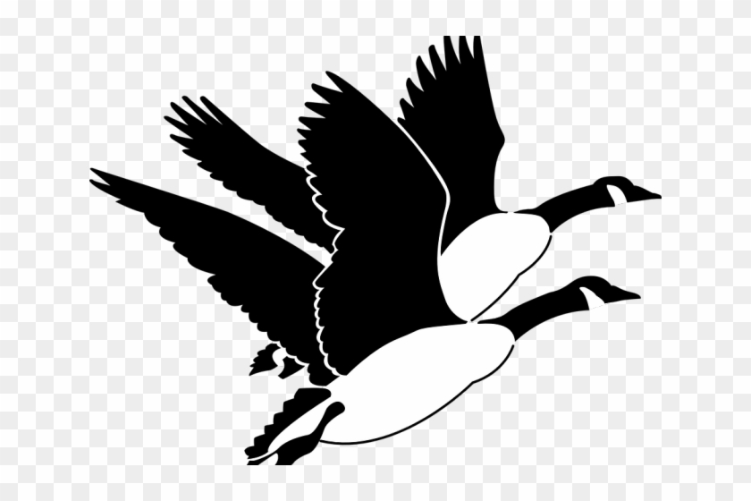 Goose Clipart Bird Fly - Flying Geese Clipart #1630559