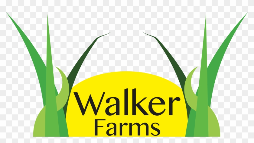 Walker Farms, Llc Logo - Walker Farms, Llc Logo #1630665