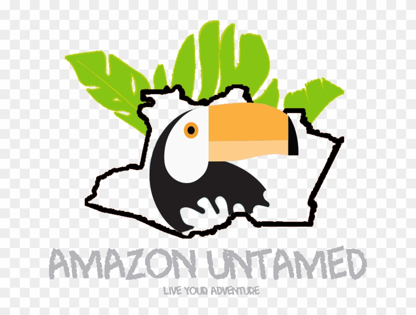 Amazona Untamed Amazona Untamed - Amazona Untamed Amazona Untamed #1630690