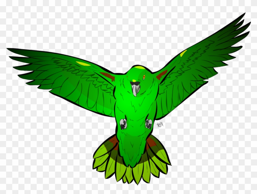 Hummingbird Clipart Animal Amazon Rainforest - Red-tailed Hawk #1630695