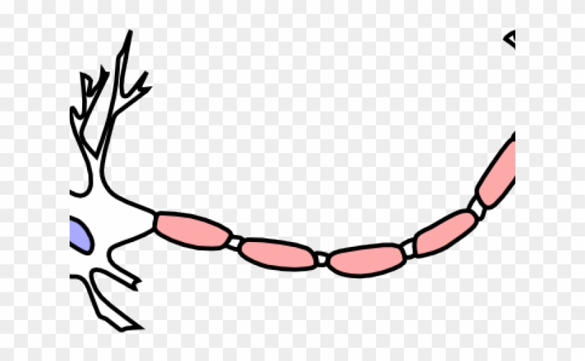 Neuron Clipart Clip Art - Neurons Clip Art #1630903