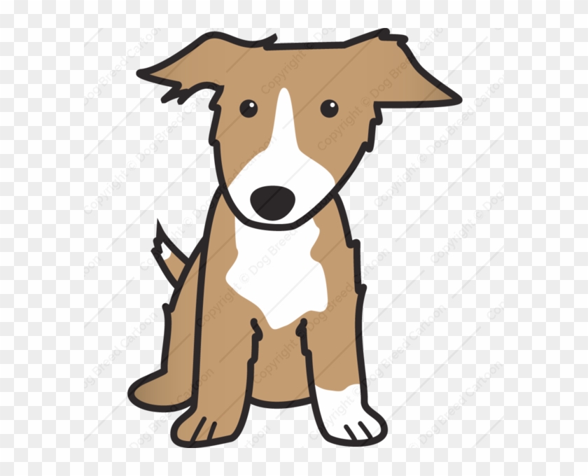 Border Collie Dog Cartoons - Cartoon Dogs #1631146