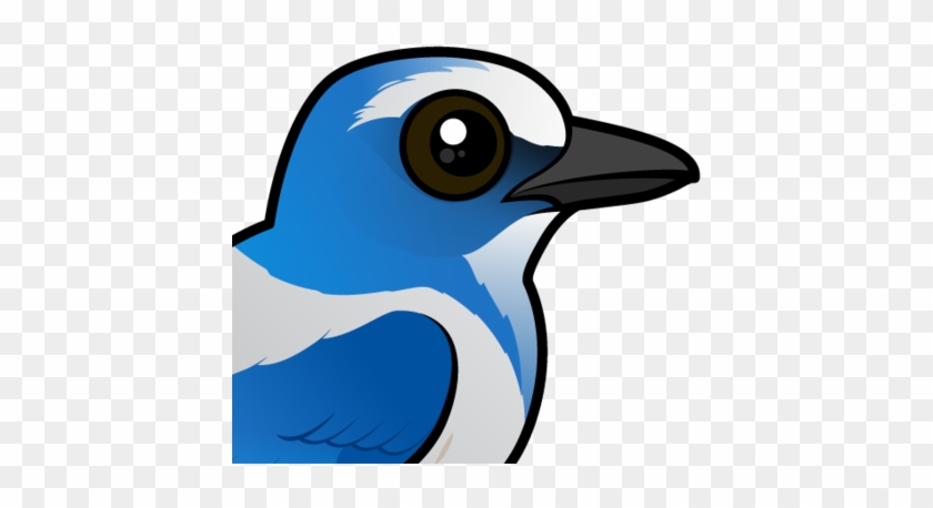 Cute Florida Scrub By Birdorable Meet The - Florida Scrub Jay Cartoon #1631225