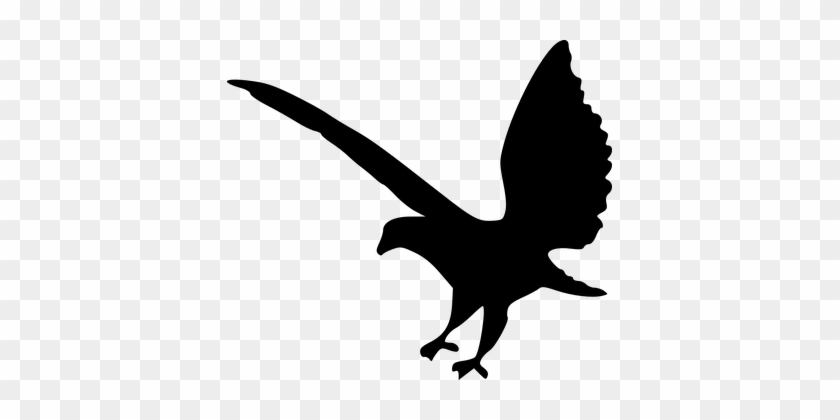 Eagle, Bird, Animal, Flying, Silhouette - Raven Bird Silhouette Png #1631385