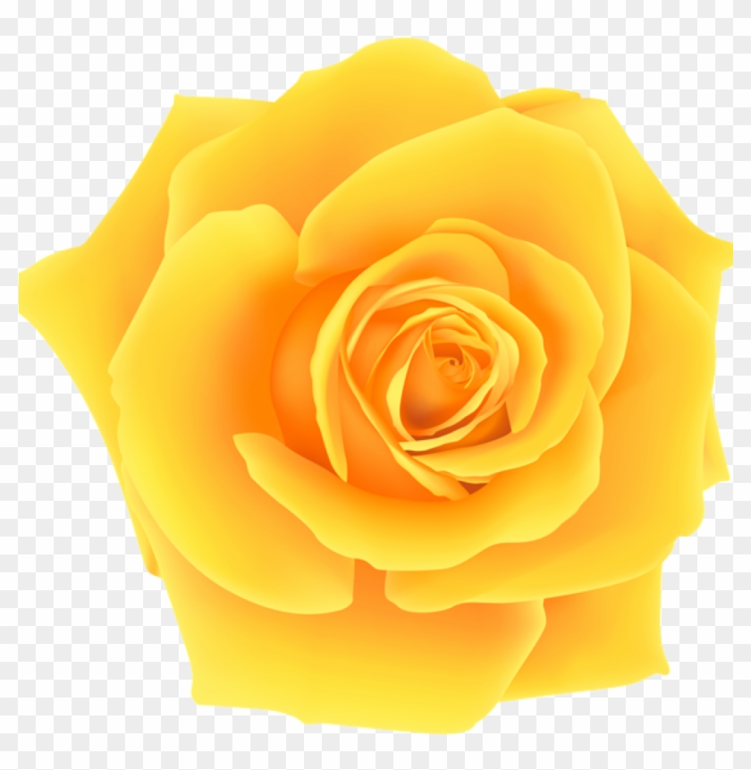 Yellow Roses Clip Art Yellow Roses Clip Art Yellow - Clip Art #1631427