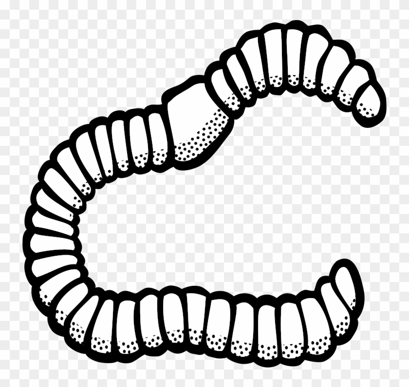 Medium Image - Clip Art Black And White Worm #1631438