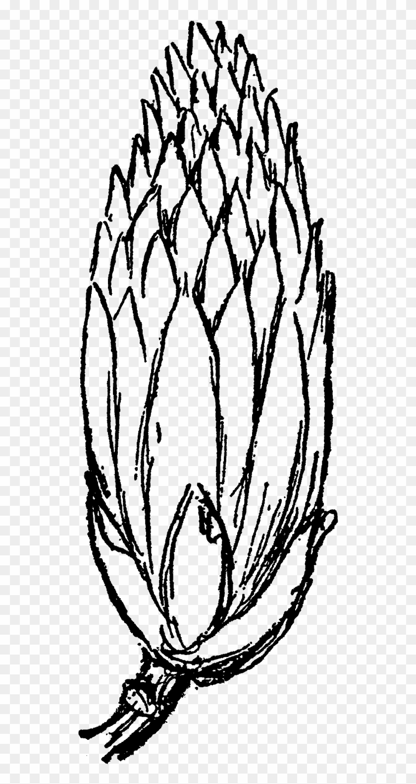 Flower Floral Wildflower Tulip Tree Blossom Digital - Sketch #1631870