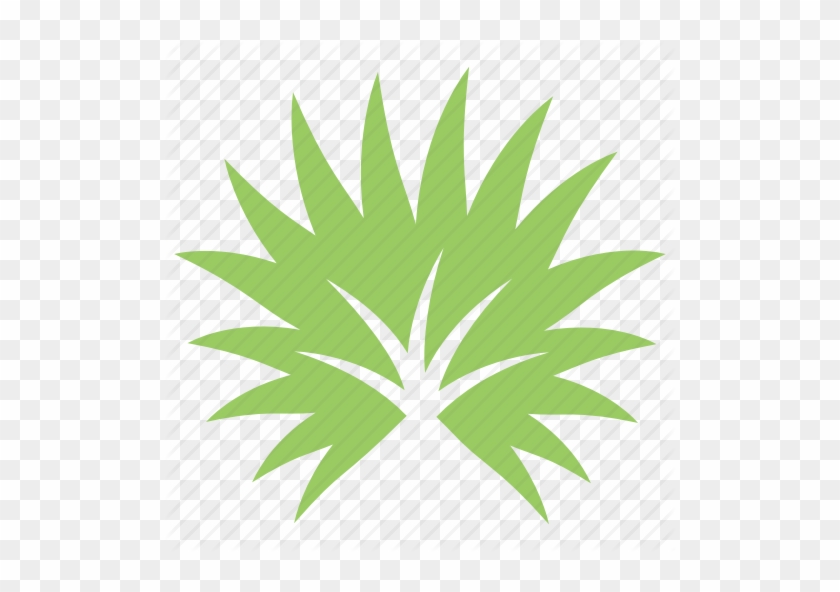 Palm Leaf Sunday Palmetto - La Quinta Returns Logo #1632088