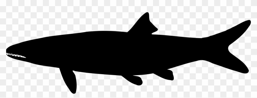 All Photo Png Clipart - Shark #1632374